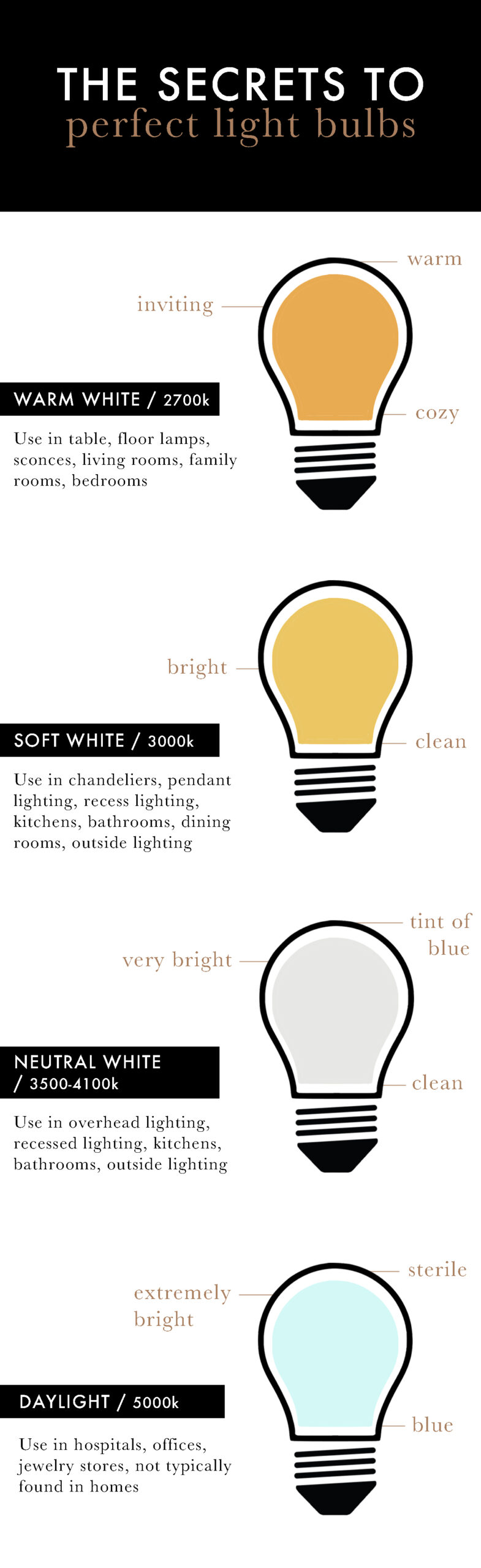 THE SECRETS TO THE PERFECT LIGHT BULBS image 1