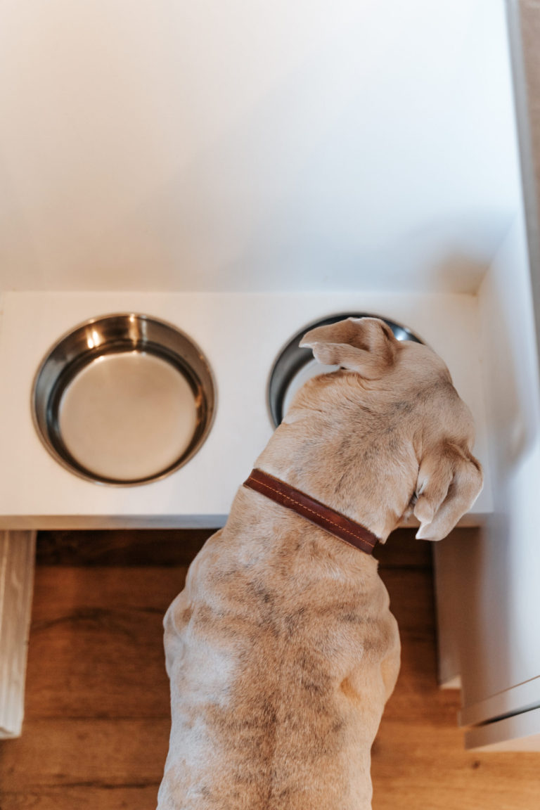 how to build floating dog bowls
